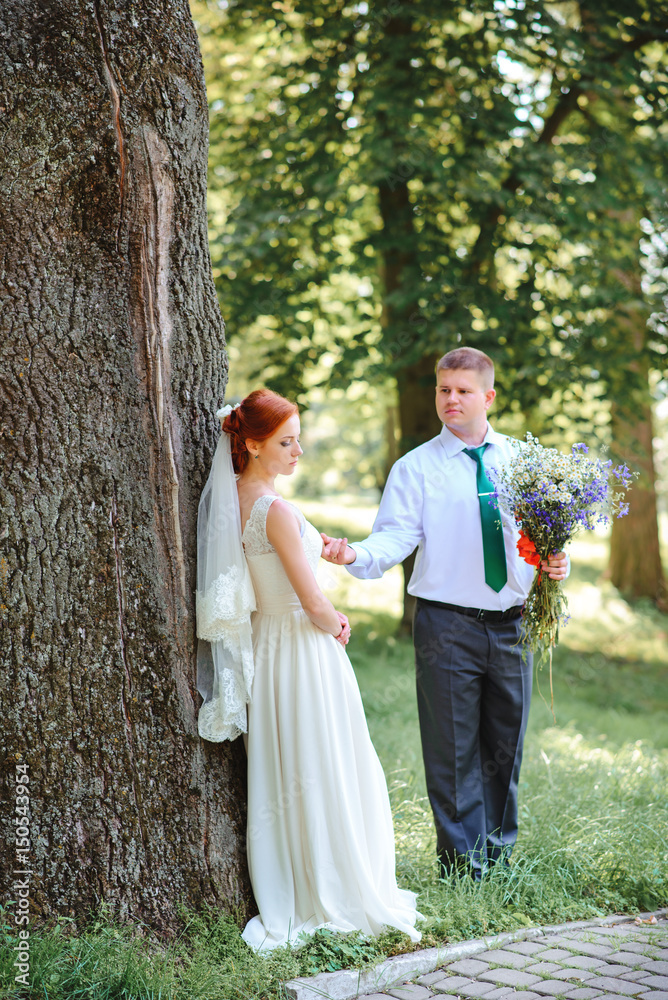 Bride and groom hold each other hands while they walk along the path in park. Bride and groom hold each other hands while they walk along the path in park.