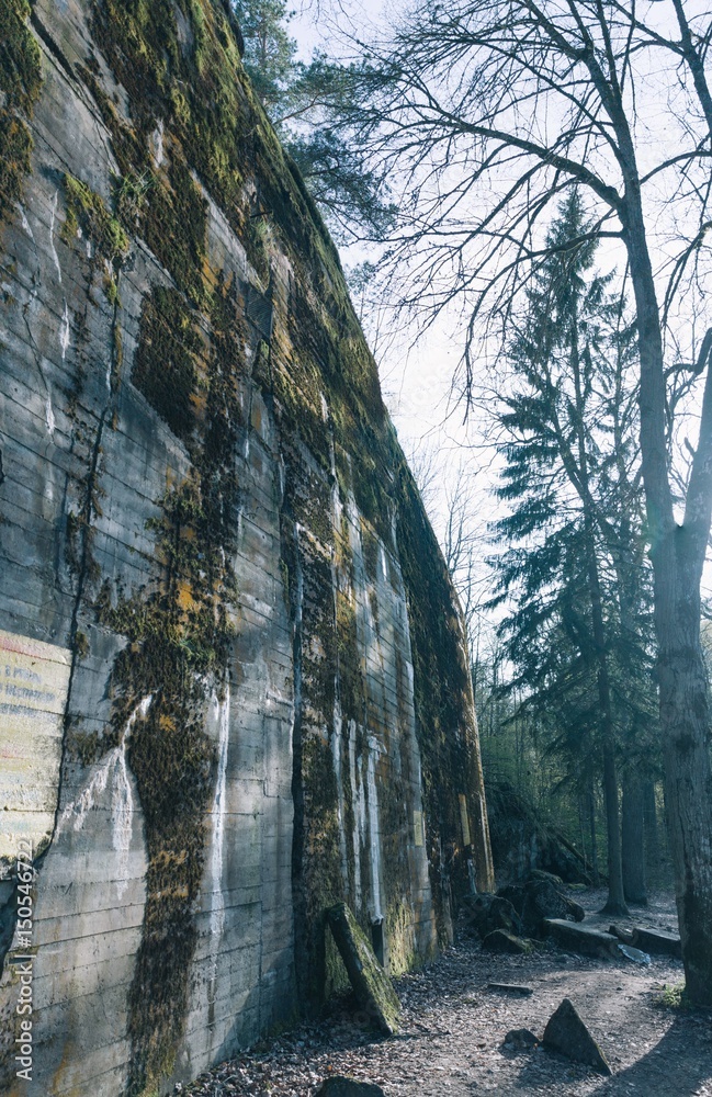 Wolf's lair