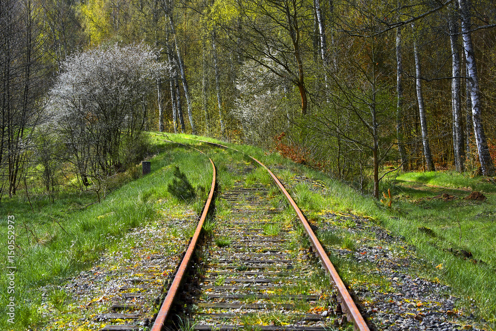 Railway Tracks Through a spring time, Poland. Pomorskie Railway Tracks Through a spring time, Poland. Pomorskie