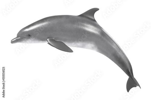 Canvas realistic 3d render of bottlenose dolphin