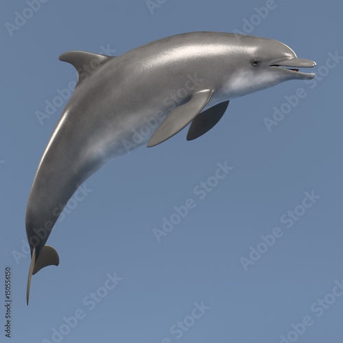 realistic 3d render of bottlenose dolphin