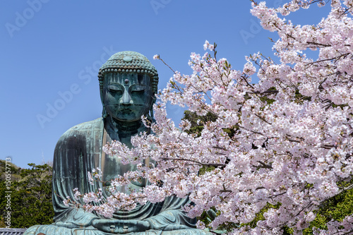 The Great Buddha in Kamakura Japan. The foreground is cherry blossoms. Located in Kamakura, Kanagawa Prefecture Japan. photo