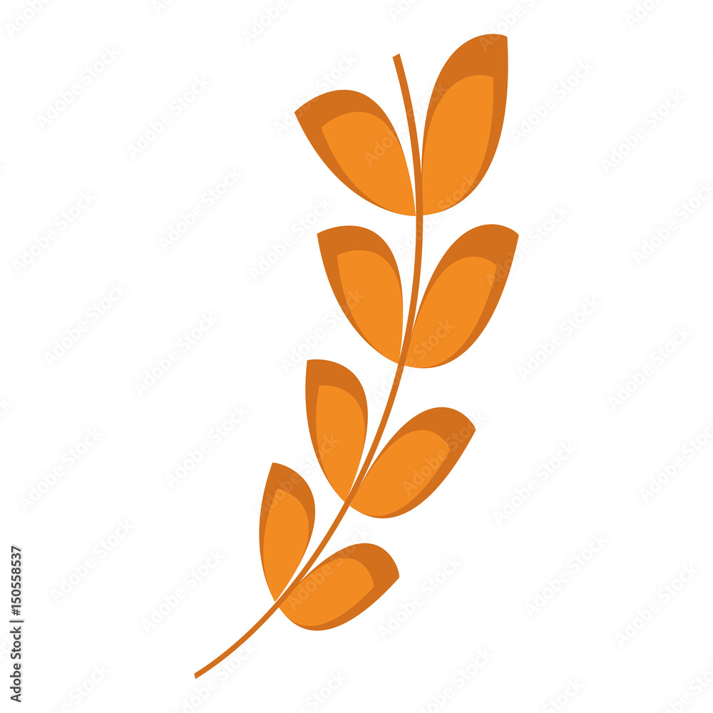 wheat ears icon over white background. colorful design. vector illustration wheat ears icon over white background. colorful design. vector illustration