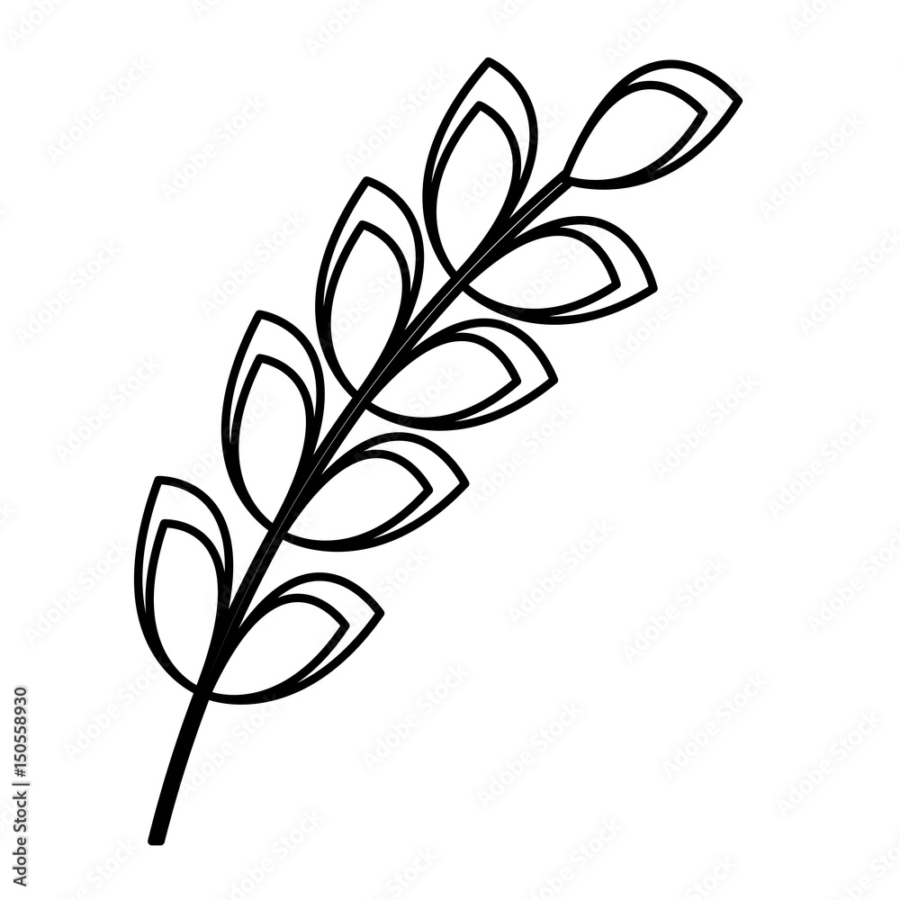 Naklejka premium wheat ears icon over white background. vector illustration