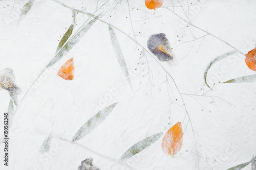 Mulberry paper with dry flower and leaf texture background