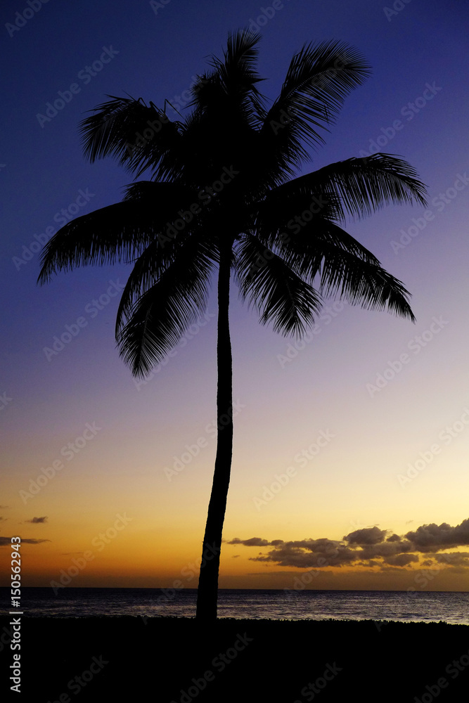 Obraz premium Palm Trees Sunset Near Ocean Beach Tropical Location