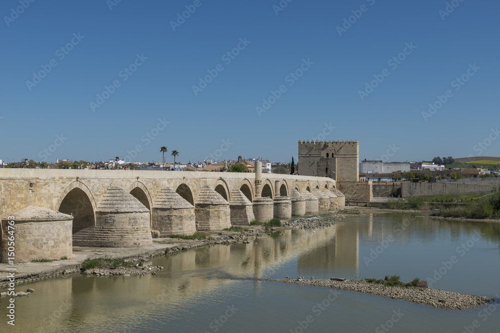 Fototapeta premium old bridge over river in cordoba