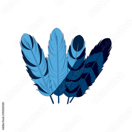blue differents feather free spirit rustic decoration ornate vector illustration