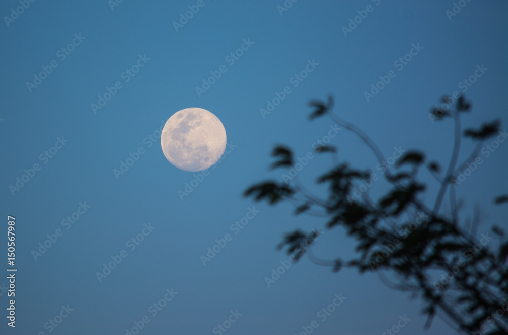 The Moon is an astronomical body that being Earth's only permanent natural satellite. The Moon is an astronomical body that being Earth's only permanent natural satellite.