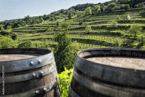 Vineyard on hills with barrel in foreground