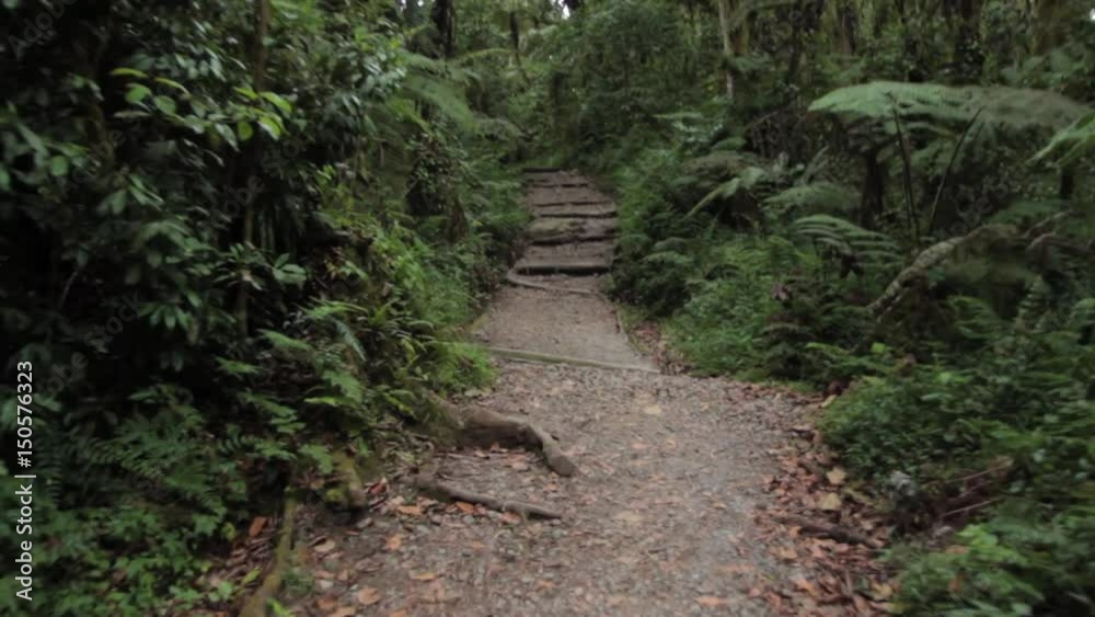 Track on Kilimanjaro on the Machame Route Whiskey Track on Kilimanjaro on the Machame Route Whiskey