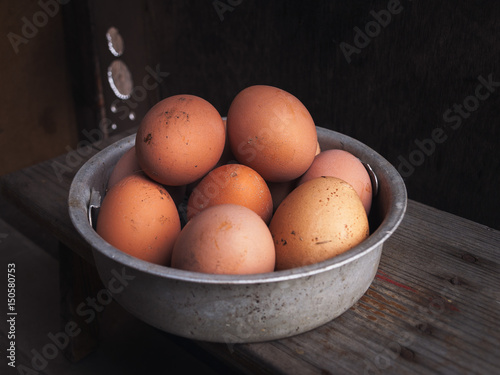 Fresh chicken country eggs photo