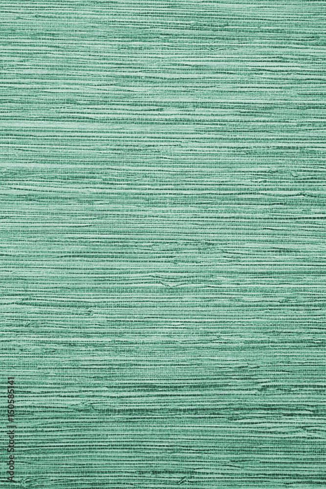 Green bamboo vertical texture Green bamboo vertical texture