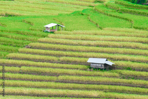 Farm house on fresh grass meadow in Thailand.
