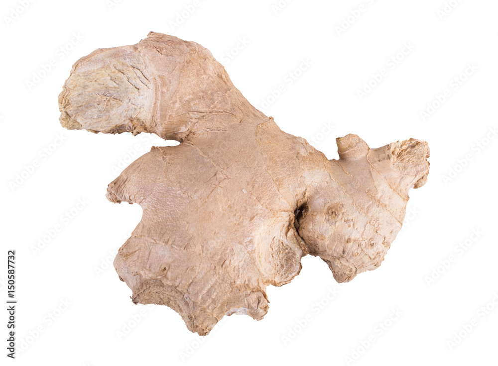 Ginger on a white background Ginger on a white background