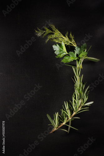 Fresh rosemary greens, parsley and dill on black