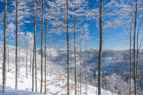Fototapeta Naklejka Na Ścianę i Meble -  Beskidy 1 