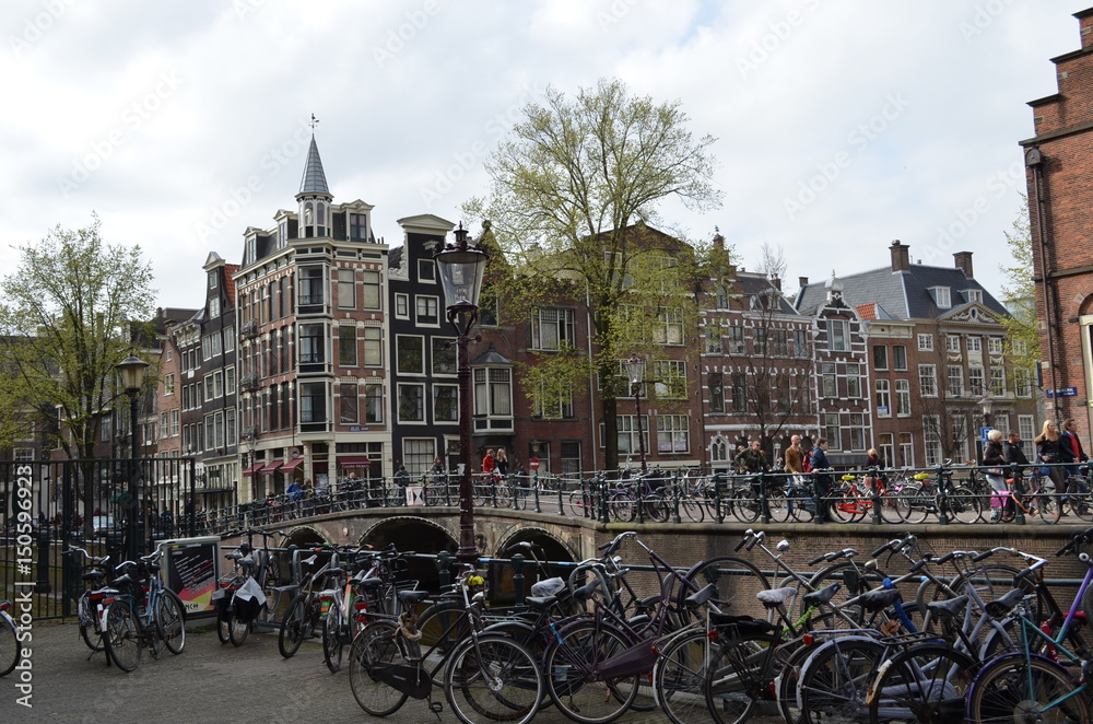 Naklejka premium Amsterdam Netherlands