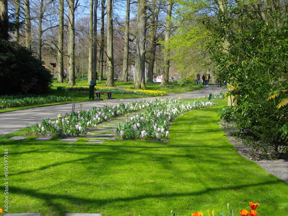 The park Keukenhof in Netherlands