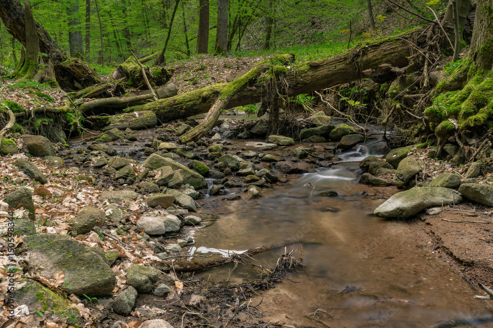 Fluss im Wald Fluss im Wald