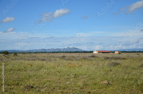 Massif des Alpilles - Saint-Martin de Crau