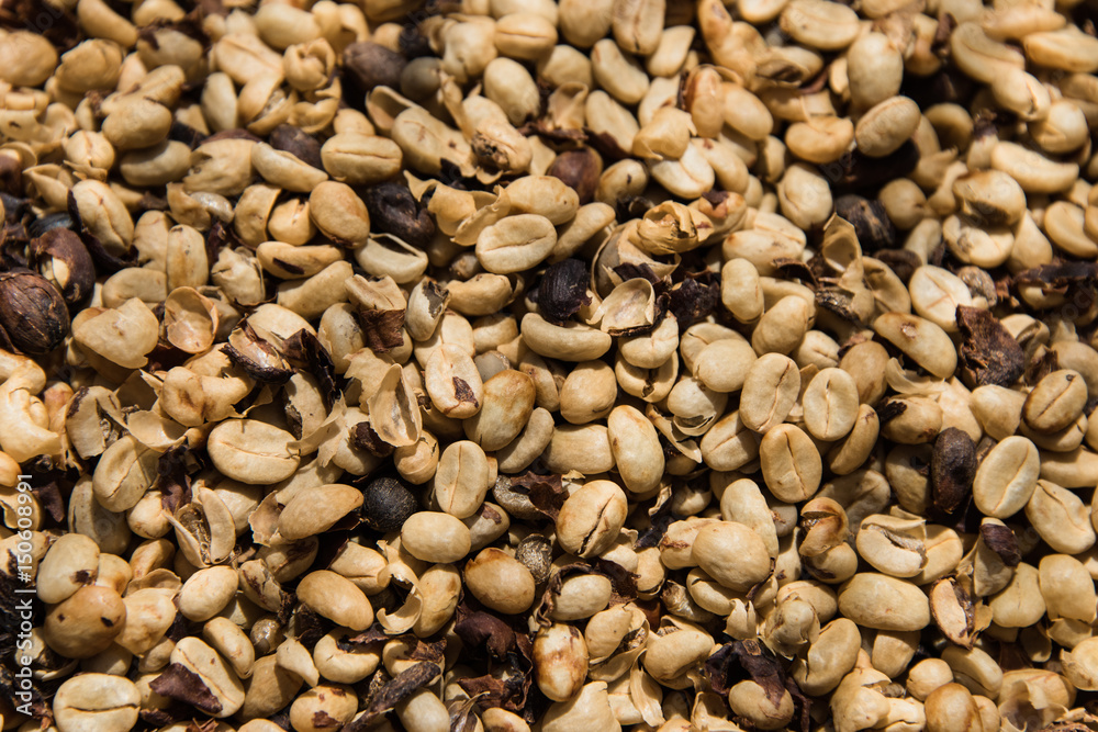 Coffee beans drying in the sun Coffee beans drying in the sun