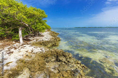 Florida Keys island shore