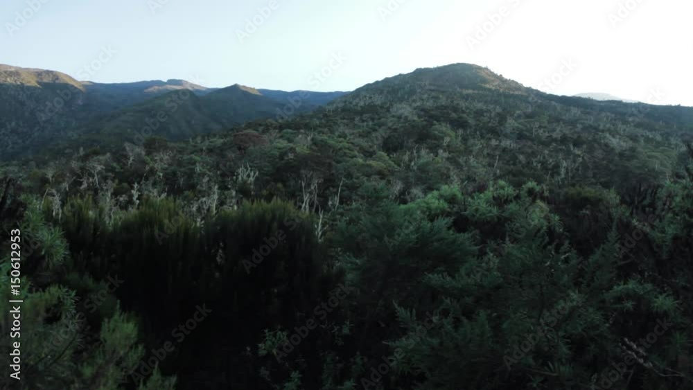 Track on Kilimanjaro on the Machame Route Whiskey Track on Kilimanjaro on the Machame Route Whiskey