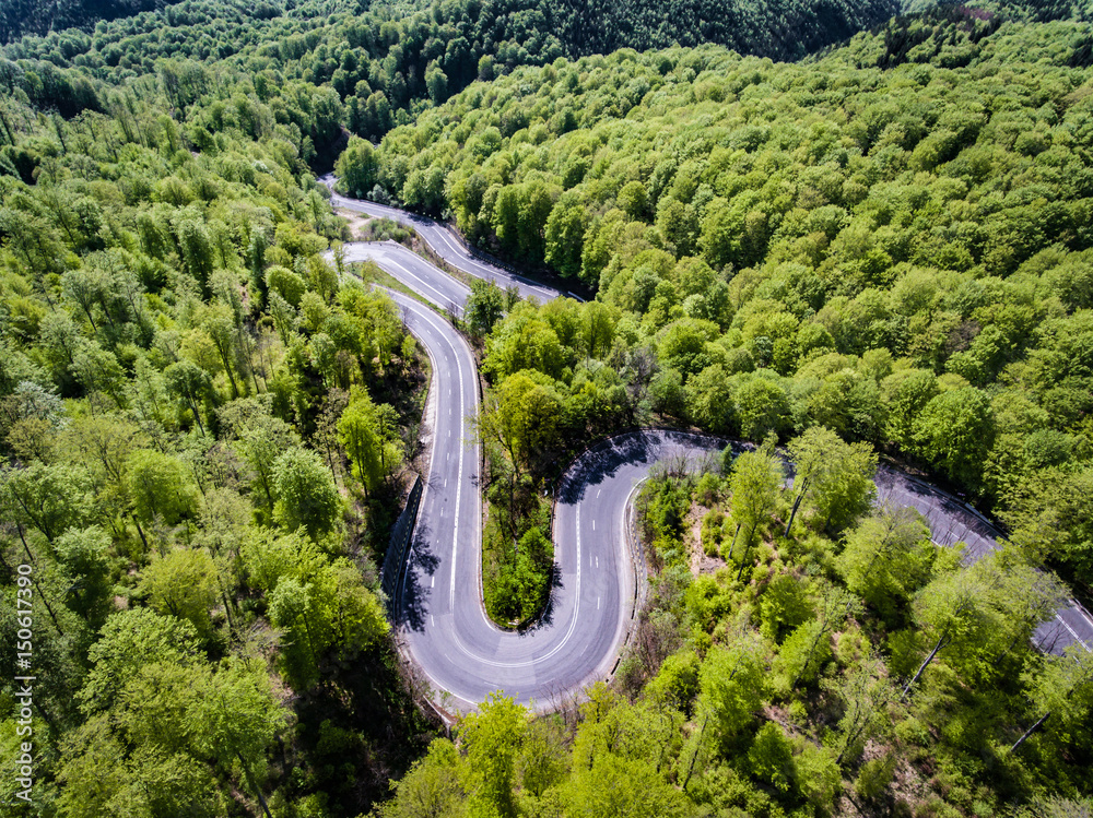 Forest winding road Forest winding road