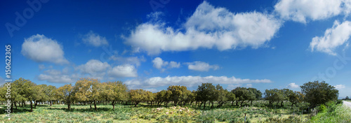 Campagne del Gerrei  Sardegna