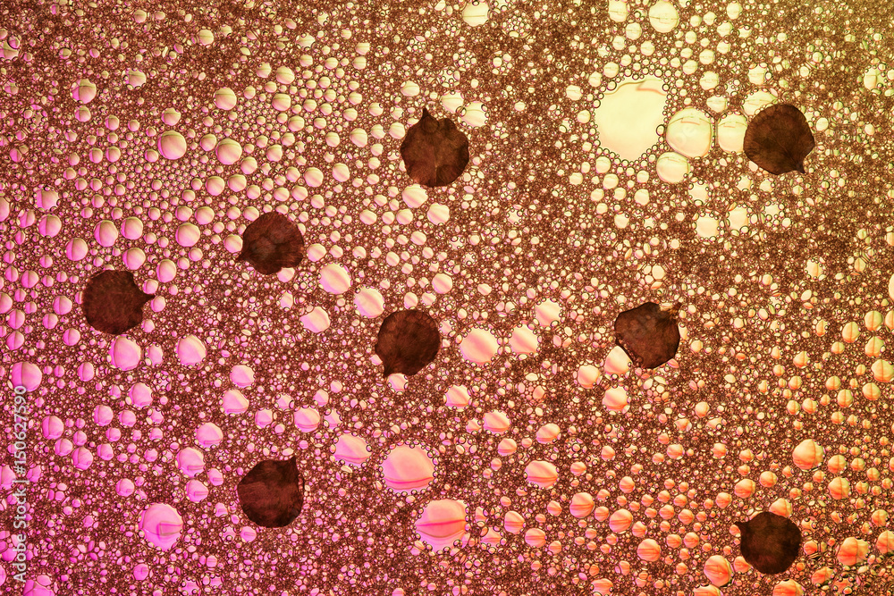 Textured abstract background of bubbles with petals of flowers from pink to yellow Textured abstract background of bubbles with petals of flowers from pink to yellow