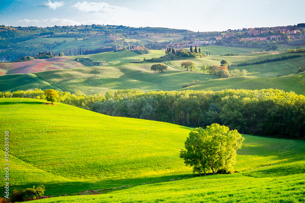 Paysage du Val d'Orcia en Toscane au soleil couchant