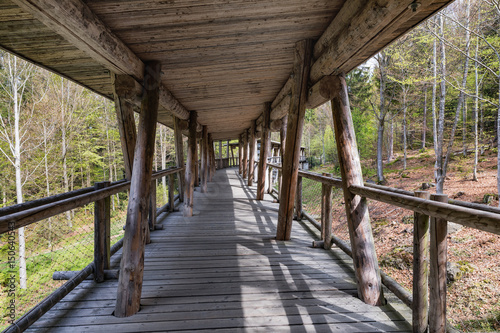Viewing wooden footbridge for animal watching, Bavaria, Germany. Wooden bridge with a roof in the forest. © murmakova