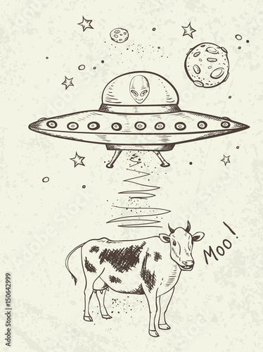 UFO abducts a cow