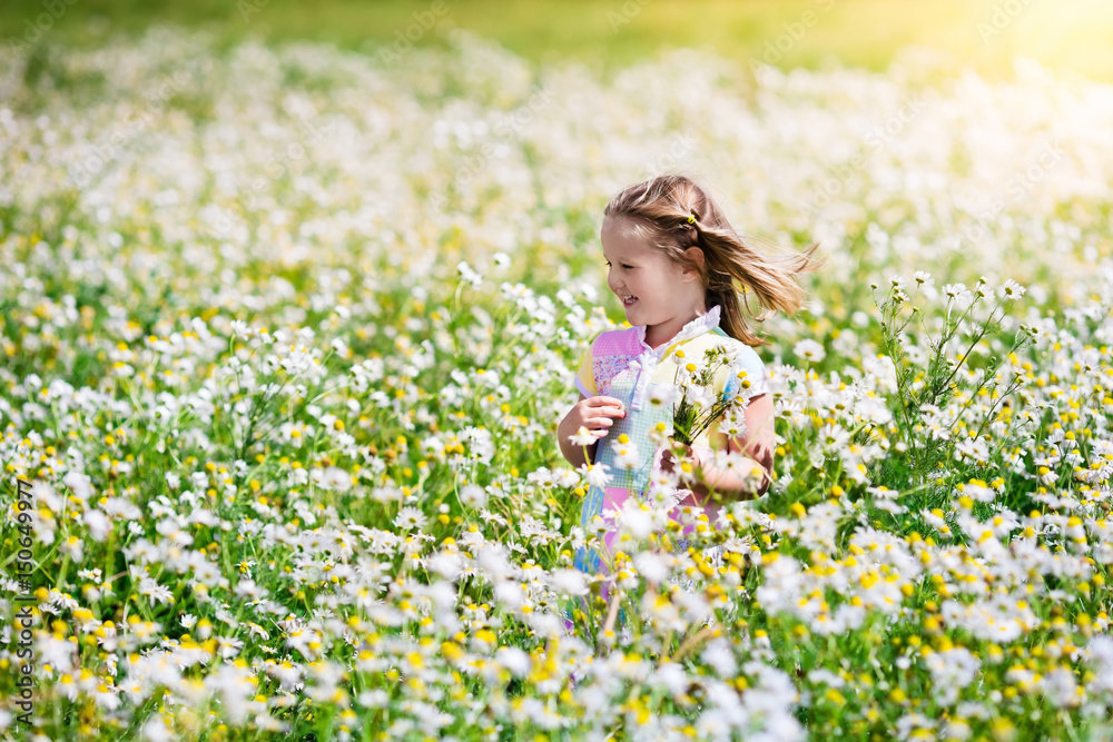 Little girl picking flowers in daisy field Little girl picking flowers in daisy field