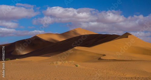 Namib Desert  Namibia - African Dunes