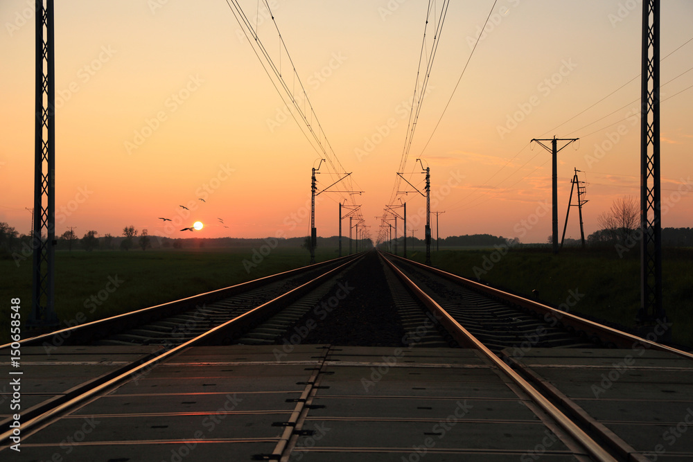 Linia kolejowa o zachodzie słońca, stado ptaków.