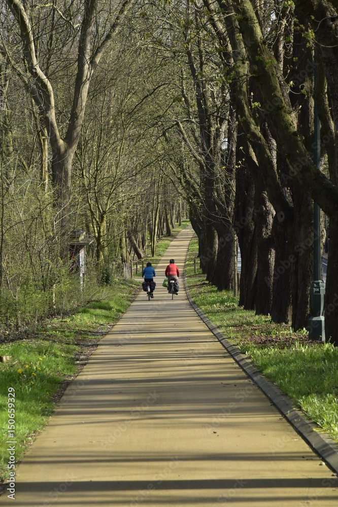 Deux cyclistes sur la nouvelle piste cyclable longeant les chênes centenaires près du domaine royal de Laeken au nord de Bruxelles Capitale