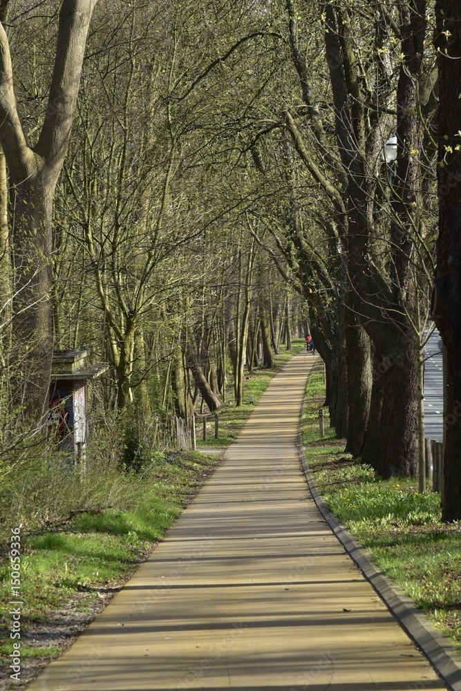 Nouvelle piste cyclable longeant les vieux chênes et une route importante à trois bandes à Laeken Nouvelle piste cyclable longeant les vieux chênes et une route importante à trois bandes à Laeken