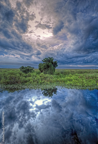 The Florida Everglades in HDR photo