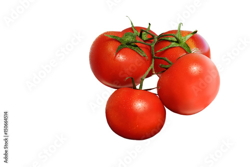 Red tomatoes on a branch