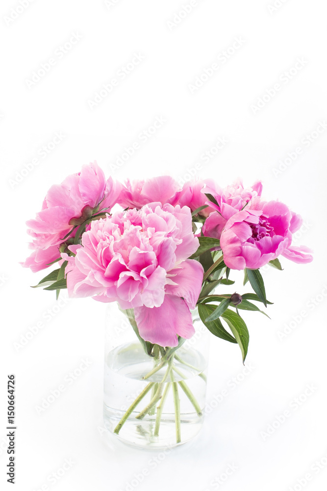 Pink Peonies in a Glass Vase
