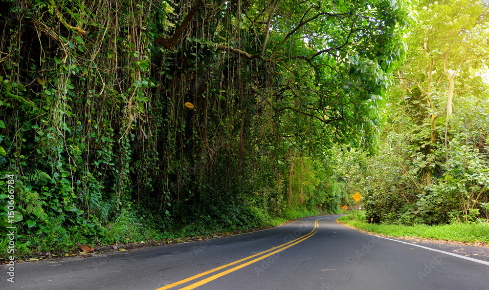 Famous Road to Hana fraught with narrow one-lane bridges, hairpin turns and incredible island views, Maui, Hawaii Famous Road to Hana fraught with narrow one-lane bridges, hairpin turns and incredible island views, Maui, Hawaii