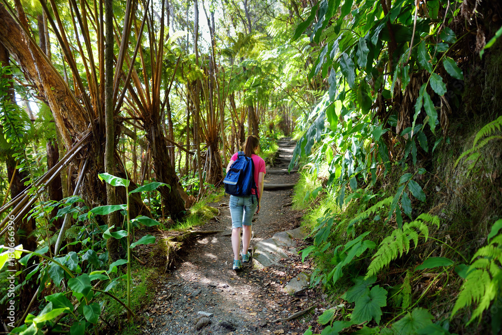 Tourist hiking on Kilauea Iki trail in Volcanoes National Park in Big Island of Hawaii Tourist hiking on Kilauea Iki trail in Volcanoes National Park in Big Island of Hawaii