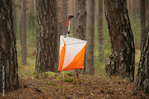 Fotografija Orienteering marker in the forest