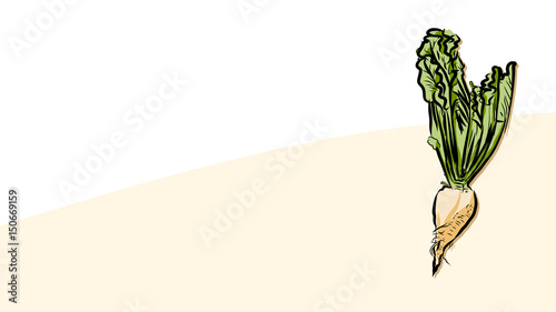 Colored beet sugar Vector Card