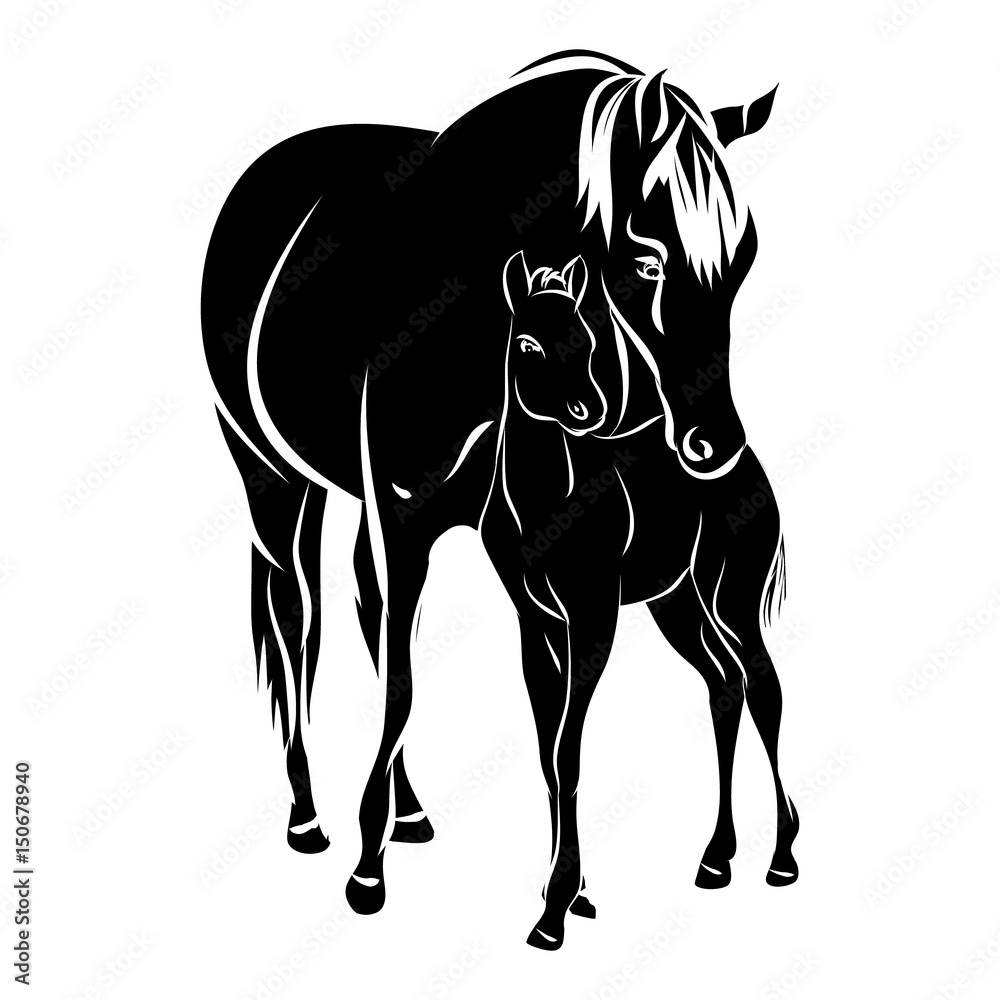 Mare with foal - black silhouette horse on white background, vector