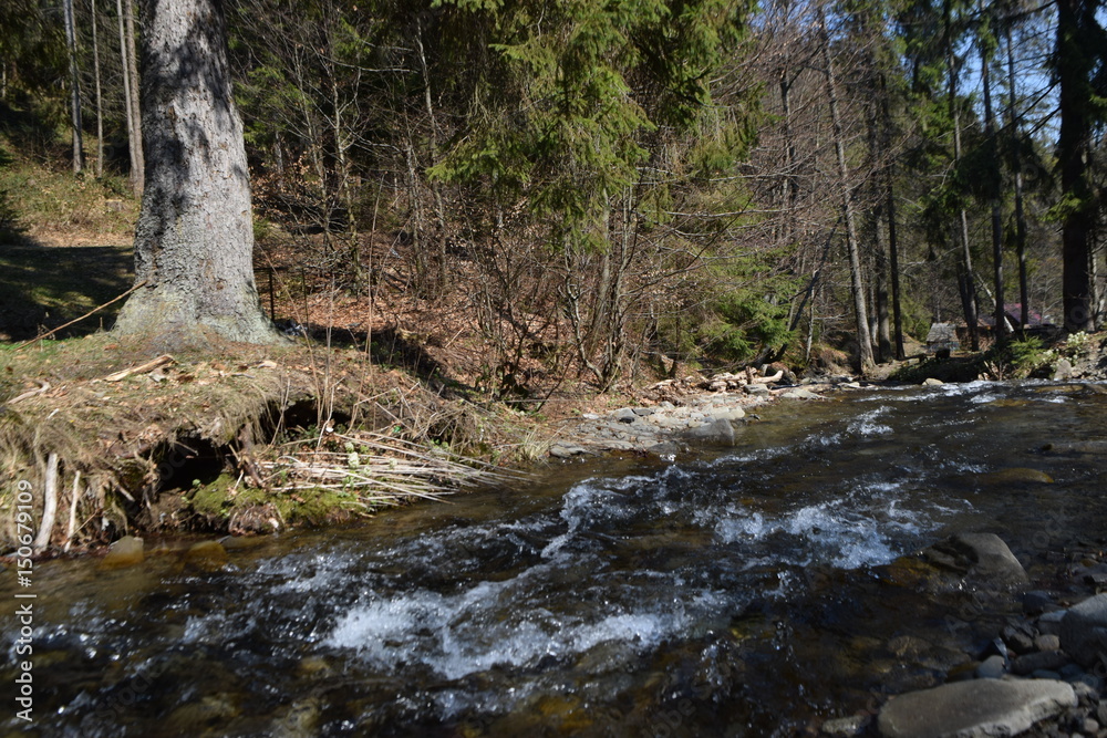 river river