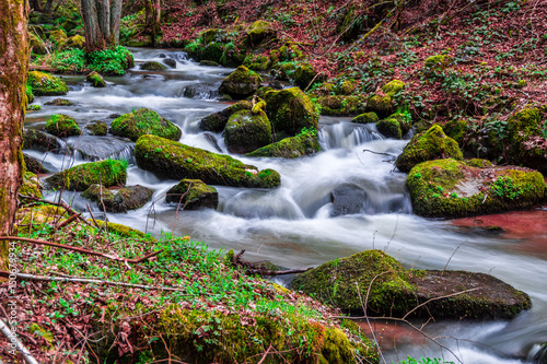 Otterbachtal-10 Wildbach im Bayerischen Wald