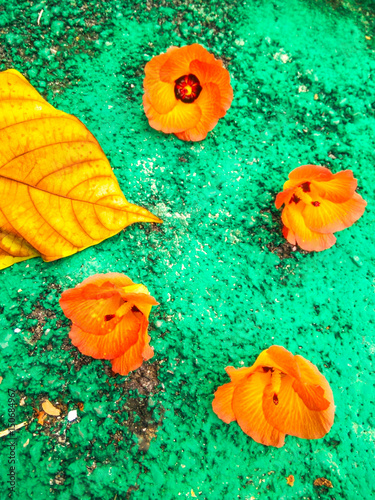 flowers and leaves on green background